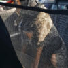 DogTravo™  Back Seat Cover